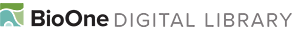 BioOne Digital Library logo